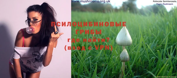 метадон Абаза