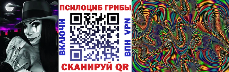 darknet клад Чекалин Галлюциногенные грибы Psilocybine cubensis